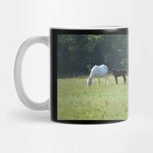 Wild Horse and Foal Mug